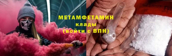 индика Новодвинск