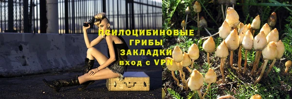 ALPHA PVP Горнозаводск