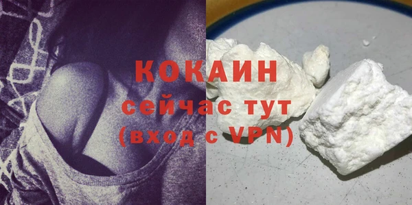 ALPHA PVP Горнозаводск